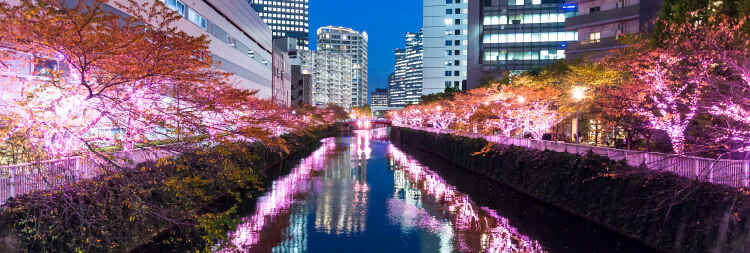 大崎周辺のイベント