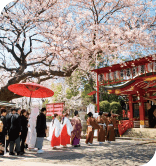 400年の歴史を宿す大崎の鎮守、居木神社が伝える温故知新