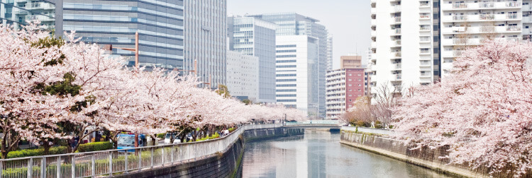 ごあいさつ・法人概要
