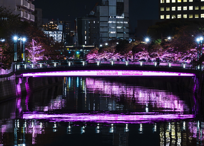 12月5日（金）より、今年も開催「目黒川みんなのイルミネーション2025」