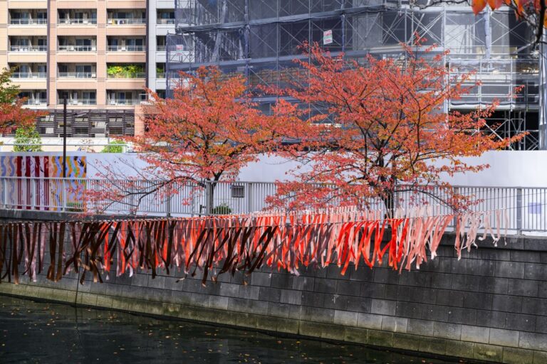 目黒川の護岸に飾られたリボンと紅葉