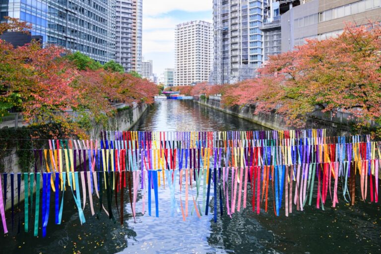 目黒川に飾られた色とりどりのリボンと紅葉（2025年）