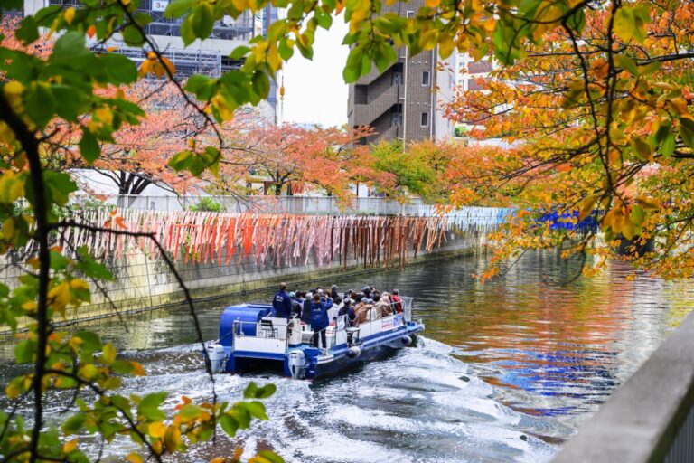リボンの装飾のそばを進む船（2025年）